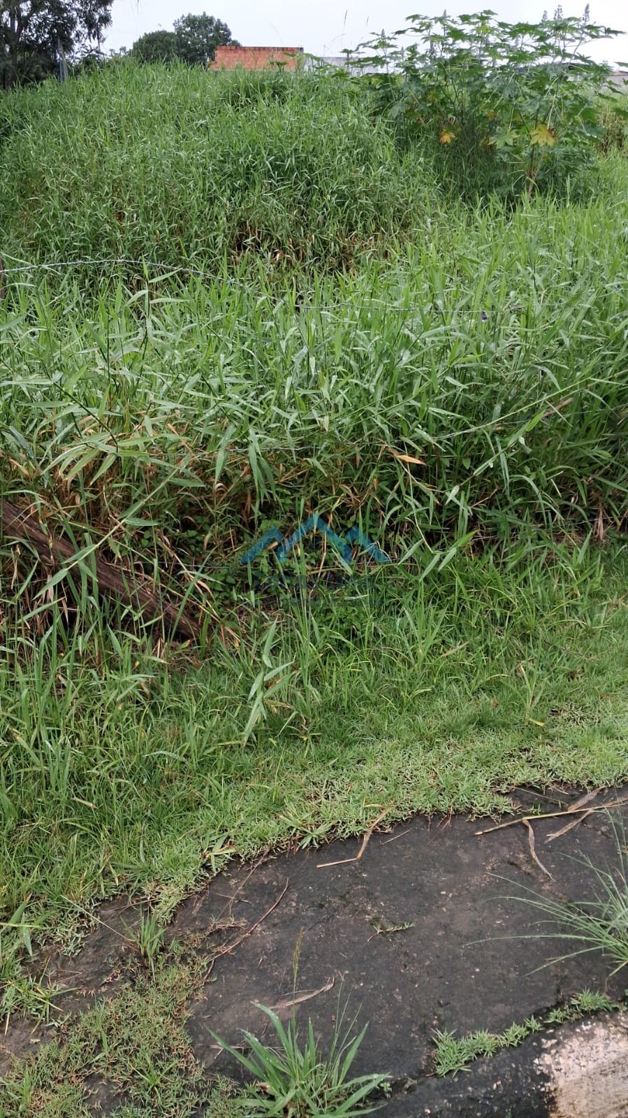 Terreno á Venda