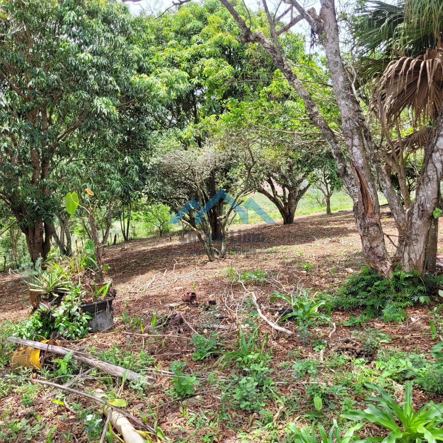 Chácara á Venda em Igaratá - Foto 4