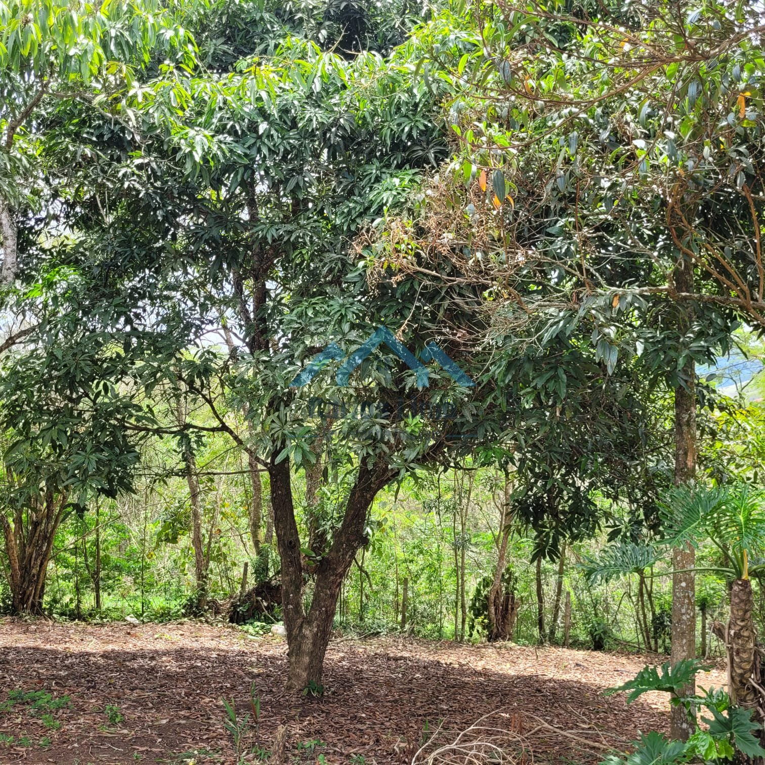 Chácara á Venda em Igaratá - Foto 7