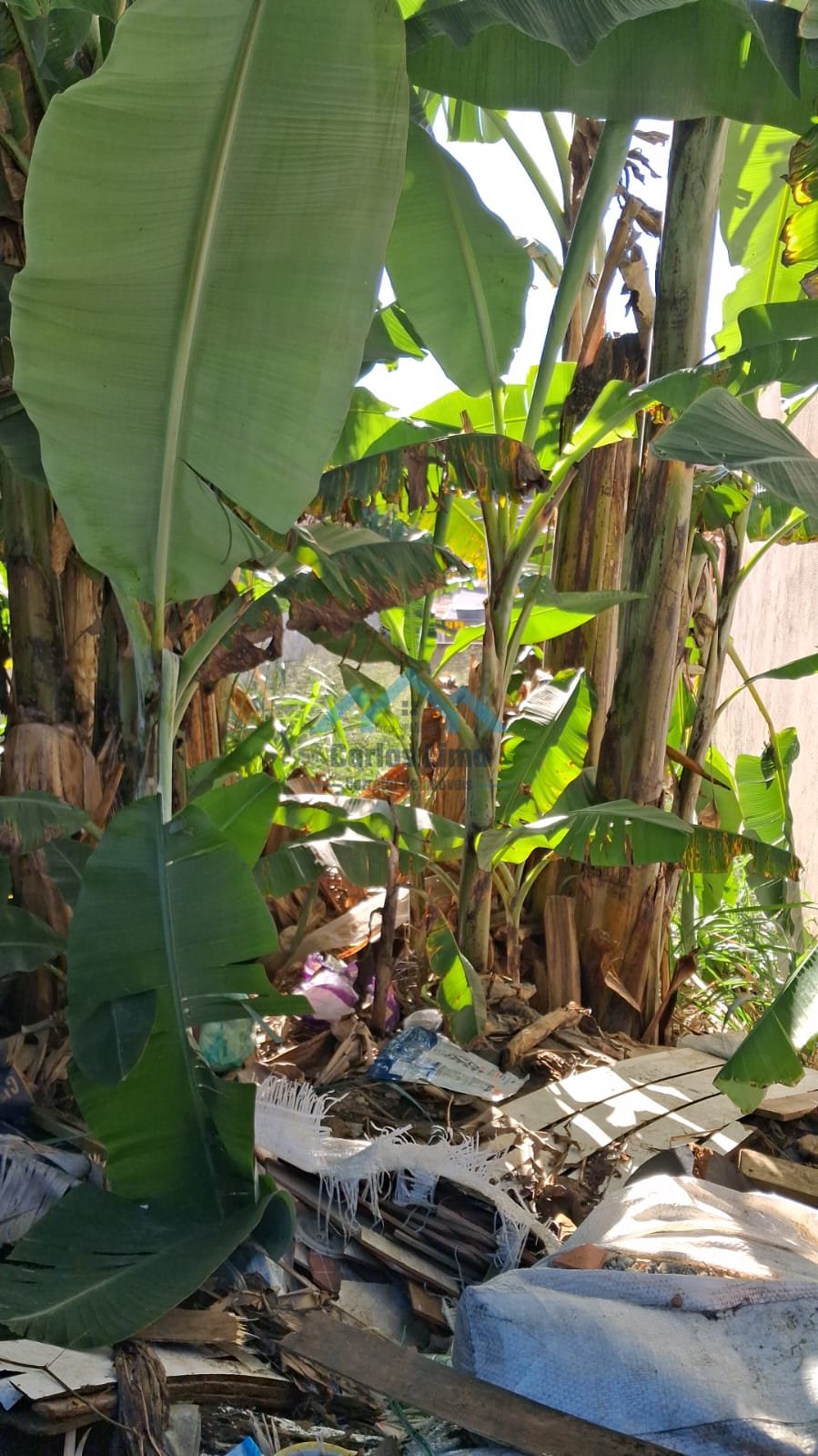 Vende-se Terreno em Itaquá - Foto 1