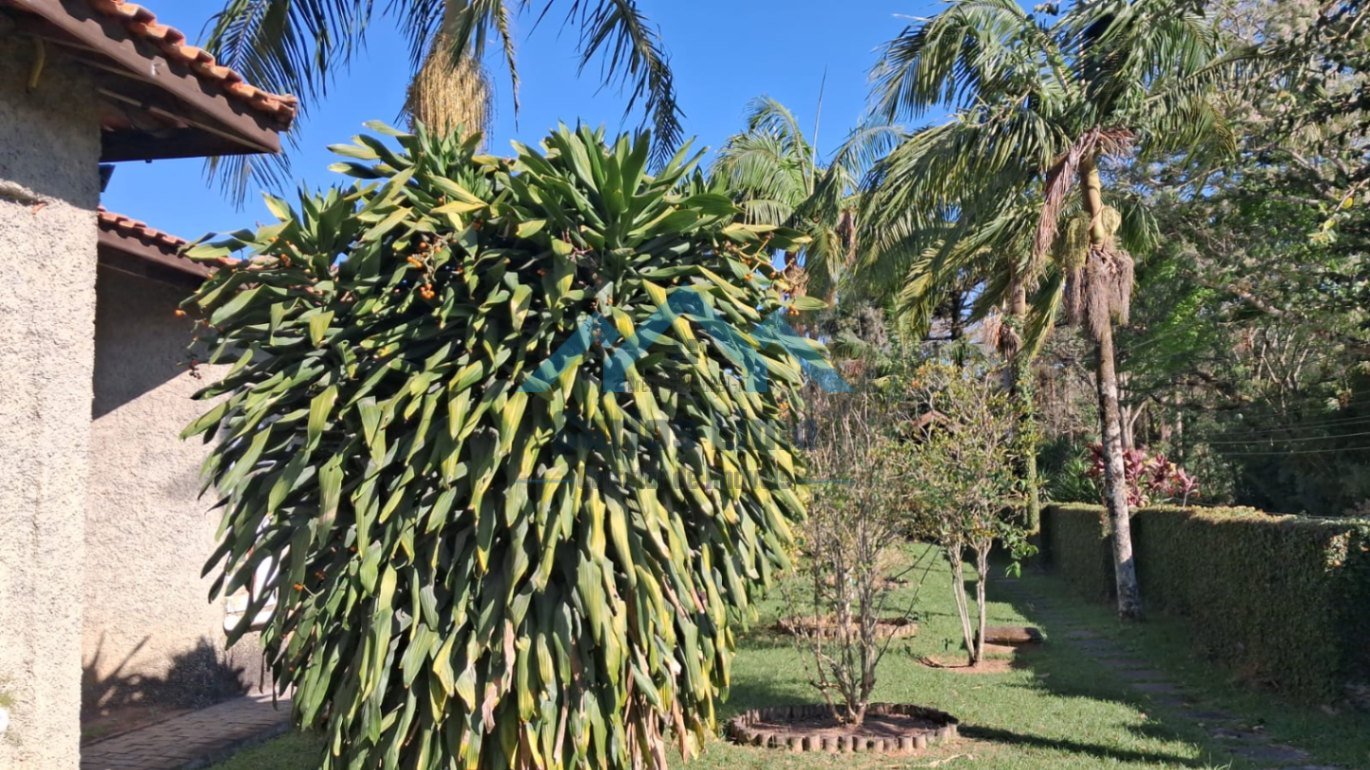 Foto 4 - Chácara à venda no , Santa Isabel